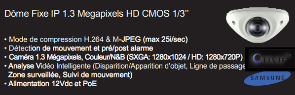 Dôme IP Fixe HD C/NB Anti-vandale, 1.3MP 1/3’’ CMOS SNV5080P